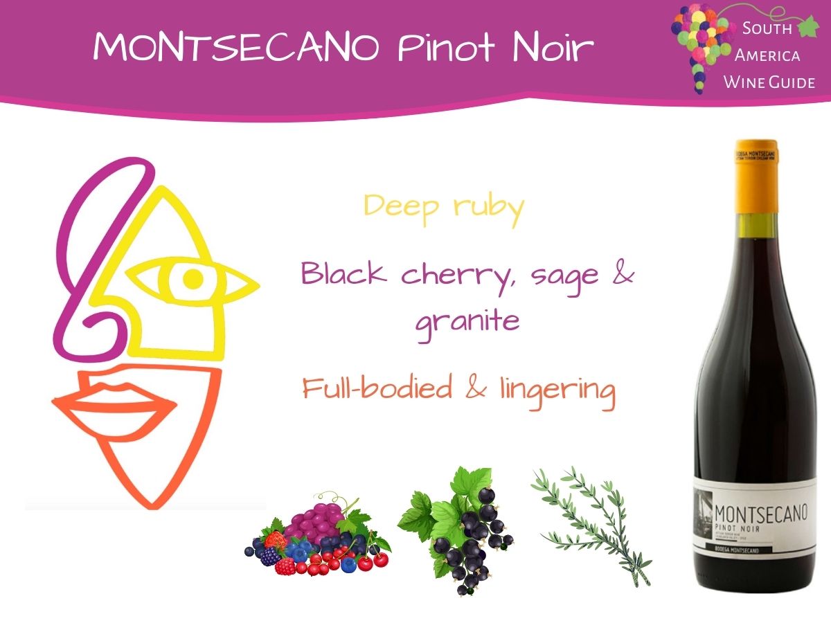 Montsecano Pinot Noir from Casablanca in Chile