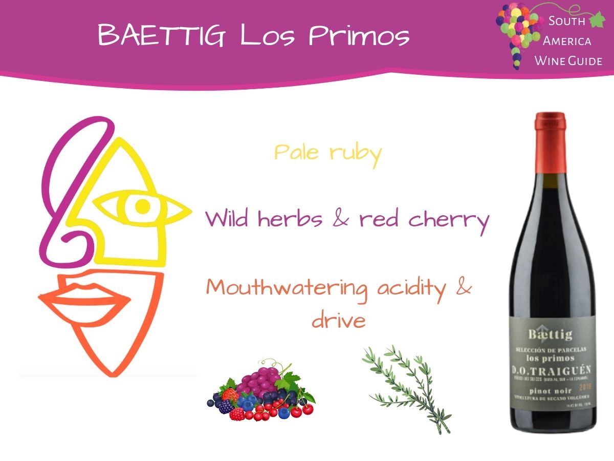 Baettig Los Primos Pinot Noir from Malleco in Chile