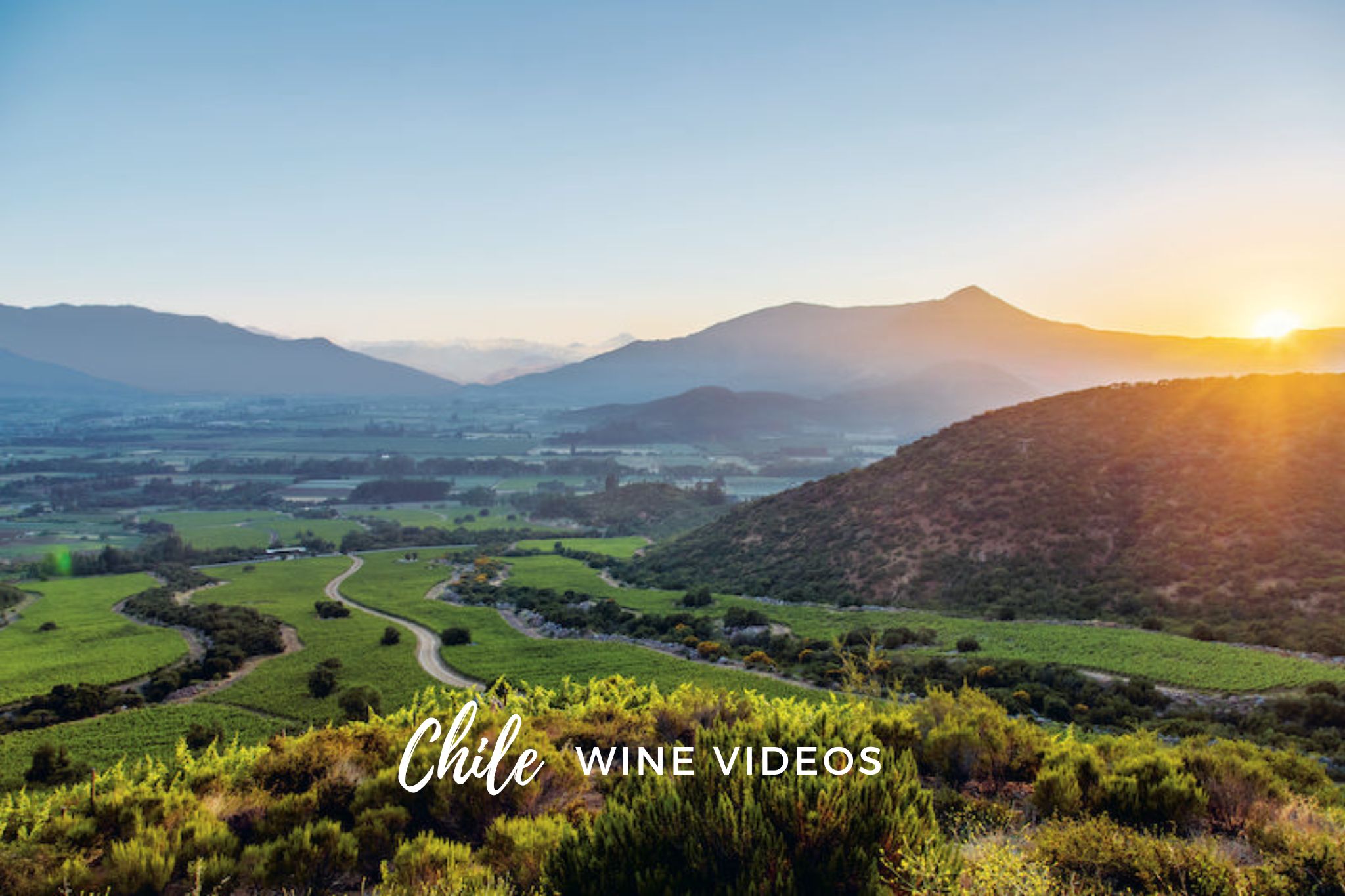 Discover the Chile wine videos guide with interviews to winemakers