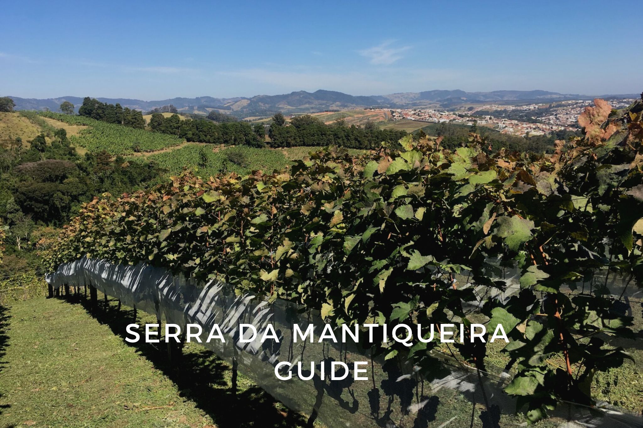 Serra da mantiqueira wine region in Brazil