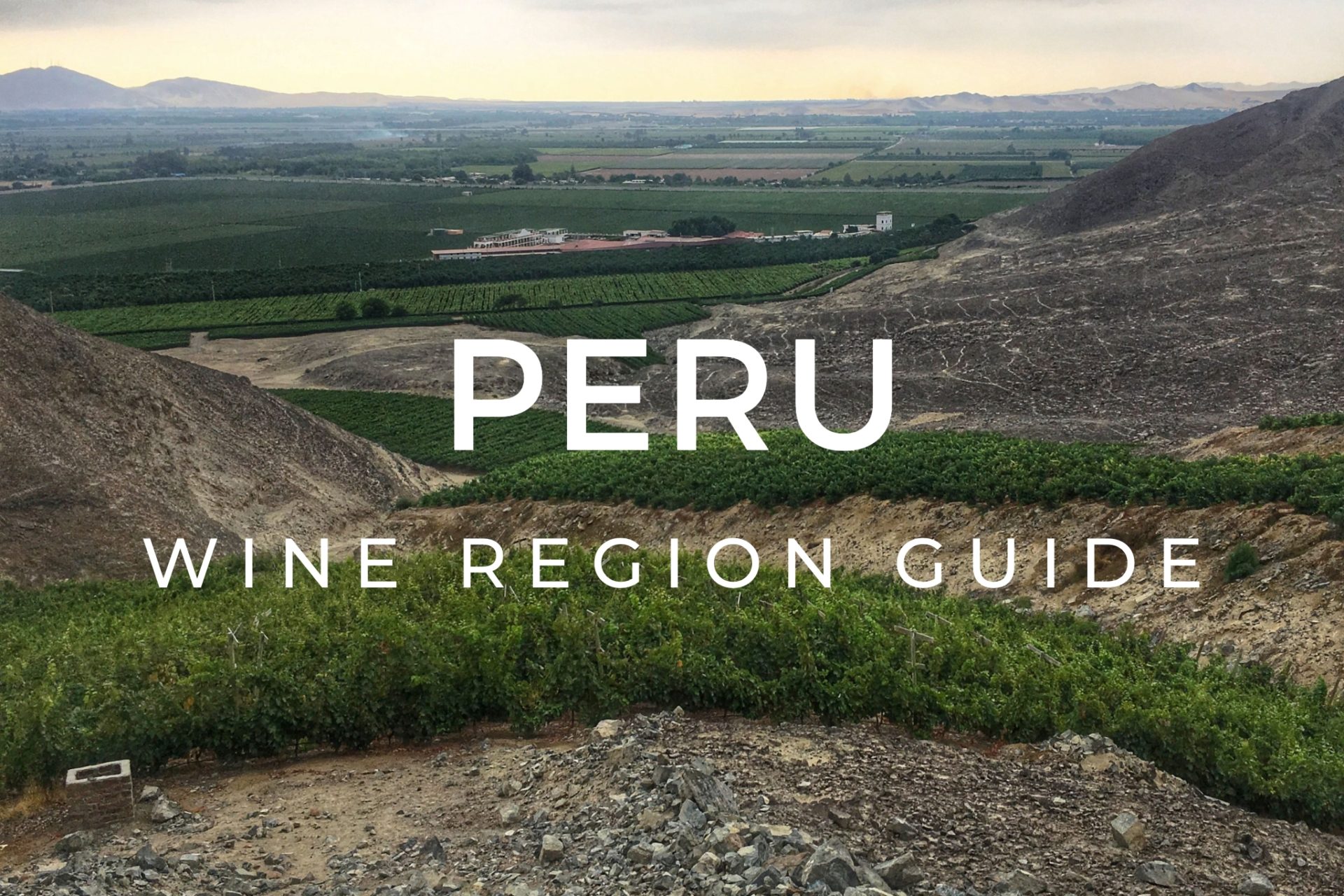 peru wine tours