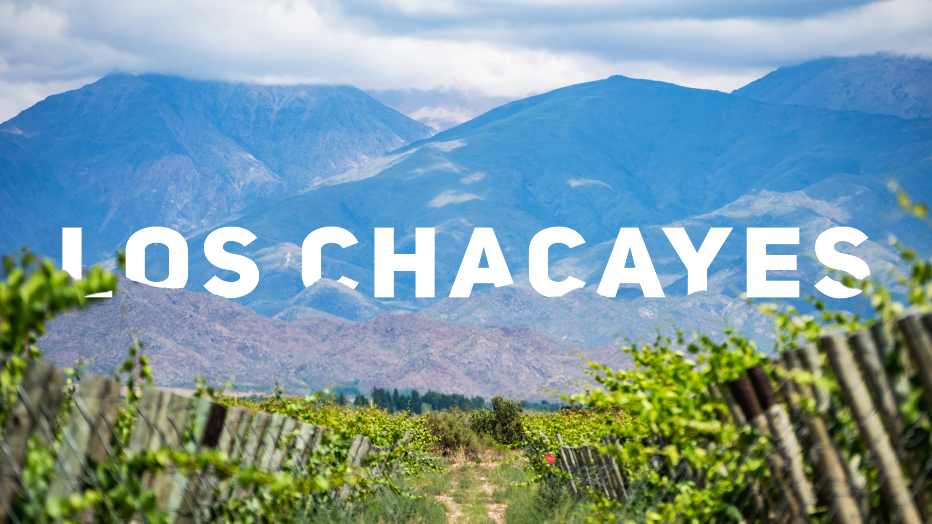 Guide to Los Chacayes GI in Uco, Mendoza. A guide to the producers, wines and Los Chacayes wine region