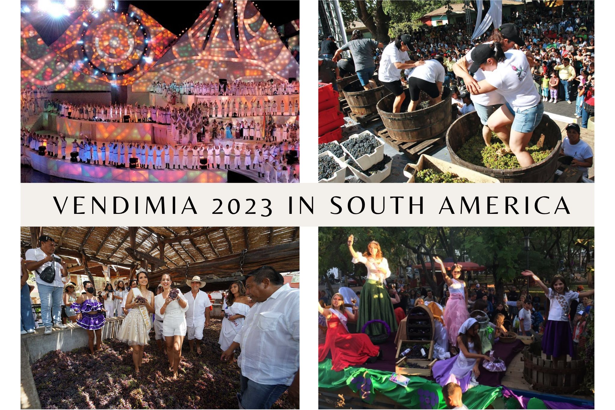 Vendimia 2023 in South America, Argentina, Chile and Uruguay