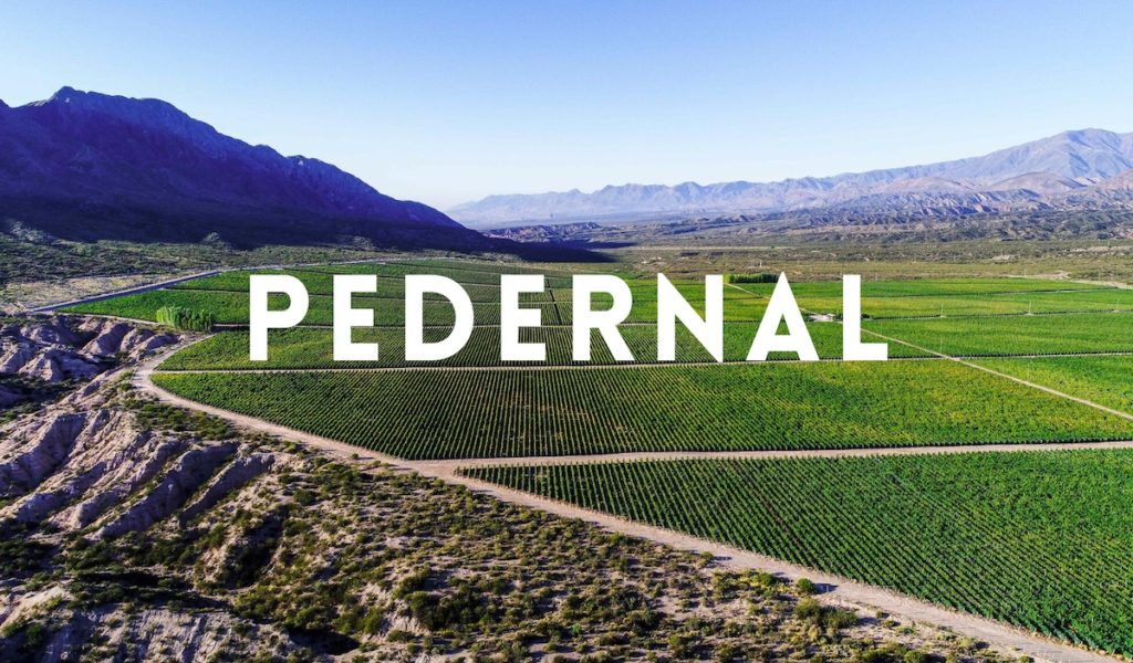 Pedernal in San Juan: Video & wine guide - South America Wine Guide